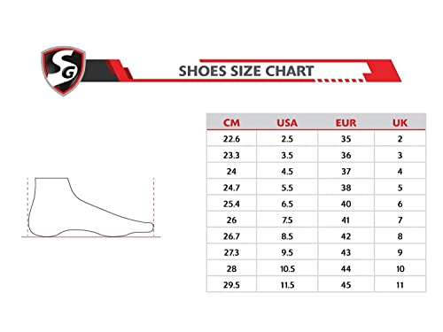 SG Steadler 5.0 Cricket Sport Shoes