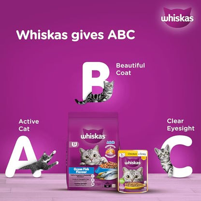 Whiskas Adult (1+ Years) Dry Cat Food, Ocean Fish Flavour, 480 g, Contains 41 Essential Nutrients, Complete & Balanced Nutrition for Adult Cats