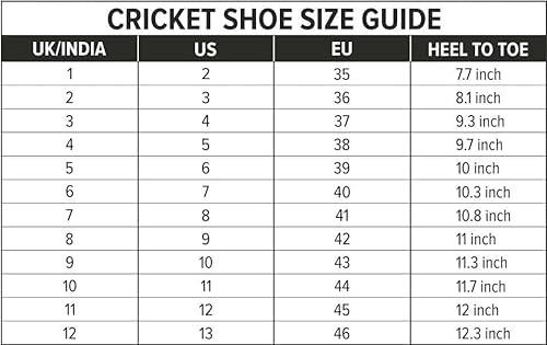 DSC Jaffa 22 Cricket Shoes for Mens