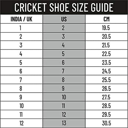 DSC Jaffa 22 Cricket Shoes for Mens