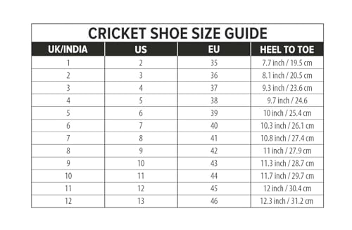 DSC Jaffa 22 Cricket Shoes for Mens