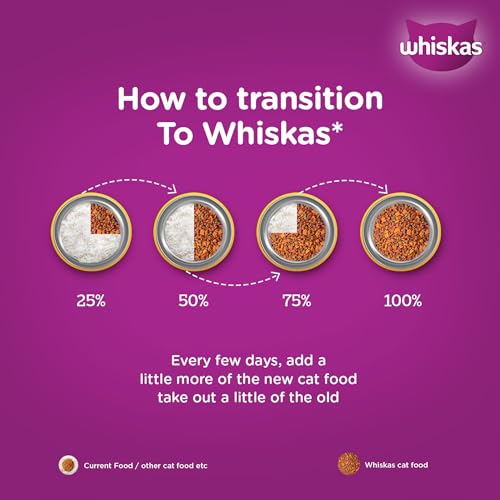 Whiskas Adult (1+ Years) Dry Cat Food, Ocean Fish Flavour, 480 g, Contains 41 Essential Nutrients, Complete & Balanced Nutrition for Adult Cats