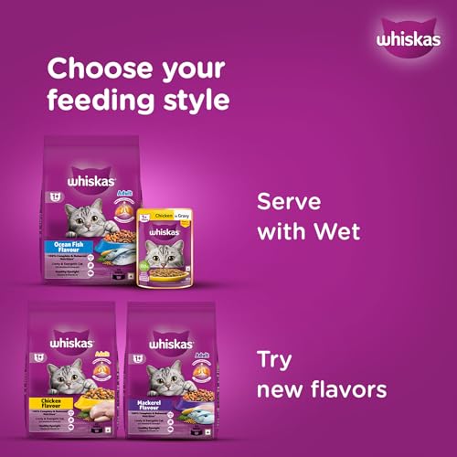 Whiskas Adult (1+ Years) Dry Cat Food, Ocean Fish Flavour, 480 g, Contains 41 Essential Nutrients, Complete & Balanced Nutrition for Adult Cats