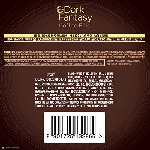 Sunfeast Dark Fantasy Dark Fantasy Choco Fills, 300g