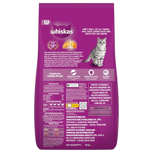 Whiskas Adult (1+ Years) Dry Cat Food, Ocean Fish Flavour, 480 g, Contains 41 Essential Nutrients, Complete & Balanced Nutrition for Adult Cats