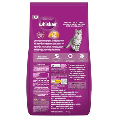 Whiskas Adult (1+ Years) Dry Cat Food, Ocean Fish Flavour, 480 g, Contains 41 Essential Nutrients, Complete & Balanced Nutrition for Adult Cats