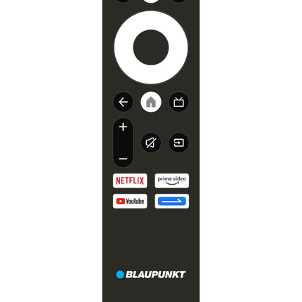 Blaupunkt 126 cm (50 inches) Quantum Dot Series 4K Ultra HD QLED Google TV 50QD7010 (Black) 