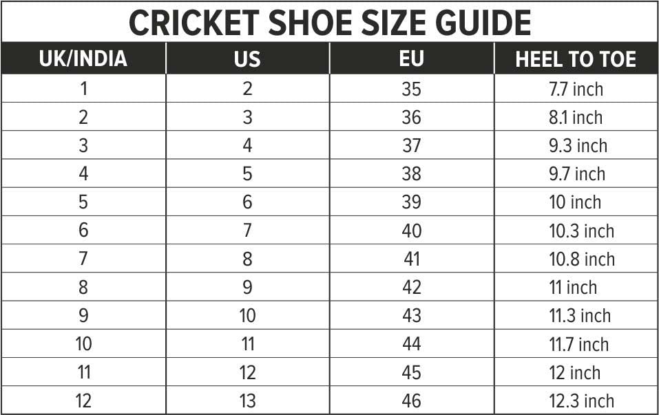 DSC Jaffa 22 Cricket Shoes for Mens