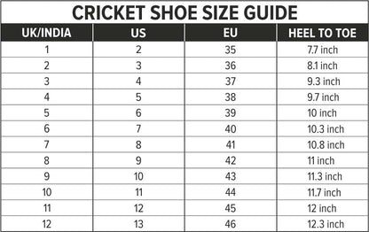 DSC Jaffa 22 Cricket Shoes for Mens