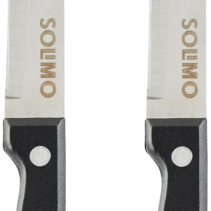 Amazon Brand - Solimo Stainless Steel Bread Knife | Triple Rivet Handle (Silver)