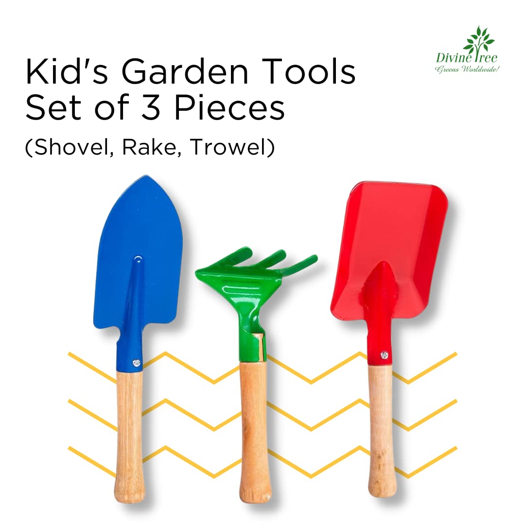 Kids Garden Tools Set by Divine Tree for Kids/Childrens on Christmas, Birthdays and Many More Occasions 3 Pcs Kids Gardening Toys (Trowel,Shovel,Rake)