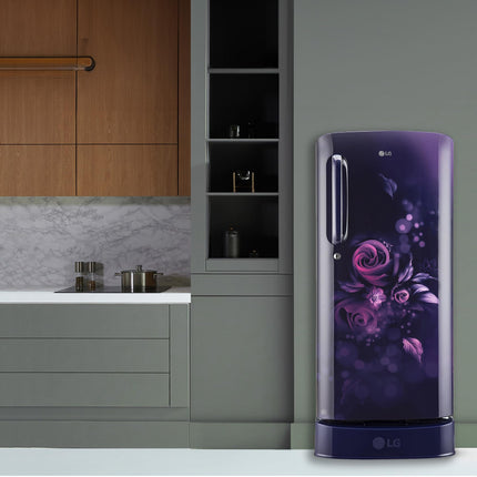 LG 185 L 5 Star Inverter Direct-Cool Single Door Refrigerator (GL-D201APZU, Shiny Steel, Base stand with drawer)