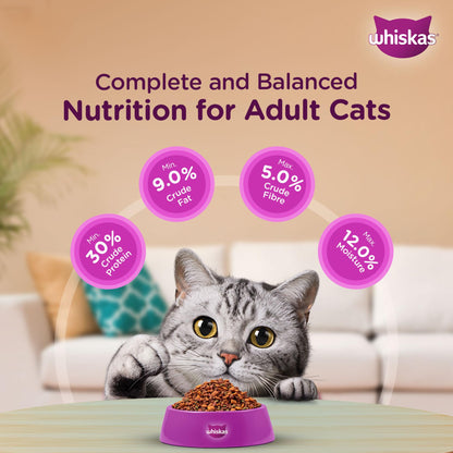 Whiskas Adult (1+ Years) Dry Cat Food, Ocean Fish Flavour, 480 g, Contains 41 Essential Nutrients, Complete & Balanced Nutrition for Adult Cats