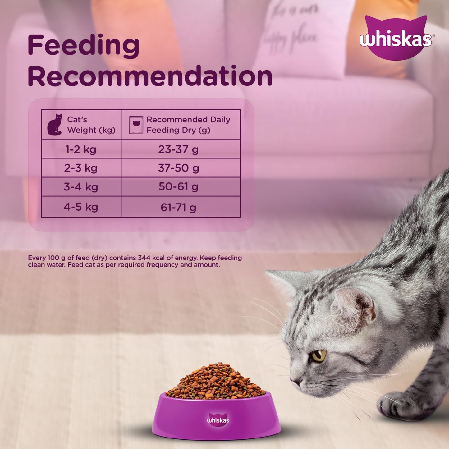 Whiskas Adult (1+ Years) Dry Cat Food, Mackerel Flavour, 480 g, Contains 41 Essential Nutrients, Complete & Balanced Nutrition for Adult Cats