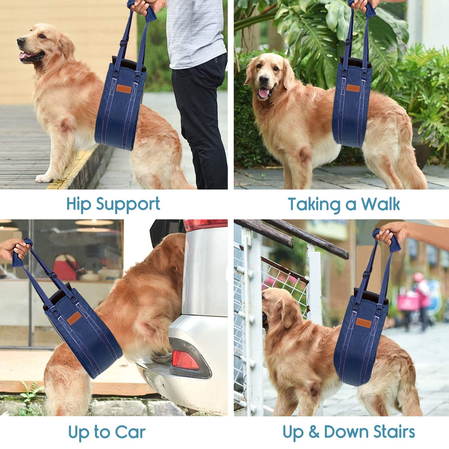 KosmoCare Dog Sling Support and Rehab Harness for Weak Rear Legs | Dog Hip Support Harness | Adjustable Straps Support for Elderly, Injured and Disabled Dogs - Large