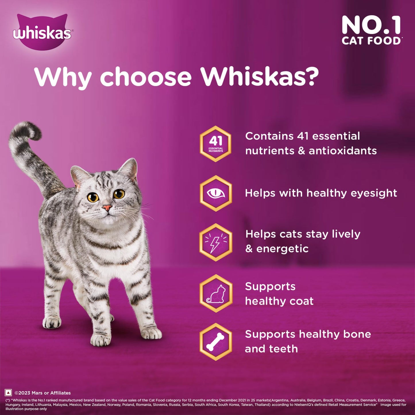 Whiskas Adult (1+ Years) Dry Cat Food, Ocean Fish Flavour, 480 g, Contains 41 Essential Nutrients, Complete & Balanced Nutrition for Adult Cats