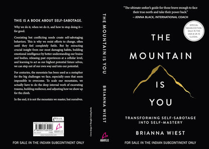 The Mountain Is You: Transforming Self-Sabotage Into Self-Mastery (English)