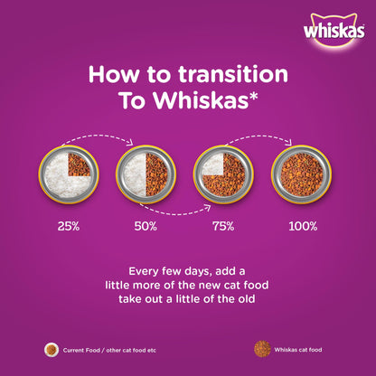 Whiskas Adult (1+ Years) Dry Cat Food, Ocean Fish Flavour, 480 g, Contains 41 Essential Nutrients, Complete & Balanced Nutrition for Adult Cats