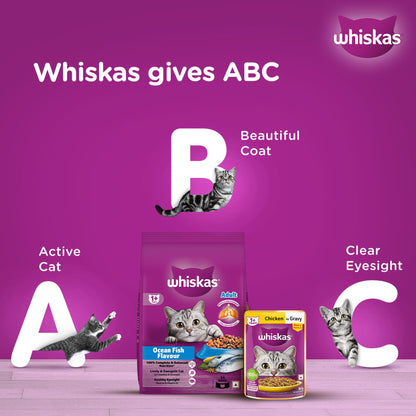 Whiskas Adult (1+ Years) Dry Cat Food, Ocean Fish Flavour, 480 g, Contains 41 Essential Nutrients, Complete & Balanced Nutrition for Adult Cats