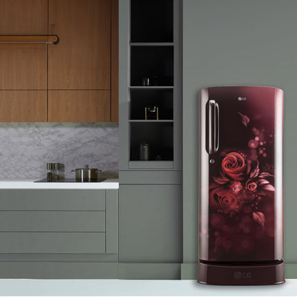 LG 185 L 5 Star Inverter Direct-Cool Single Door Refrigerator (GL-D201APZU, Shiny Steel, Base stand with drawer)