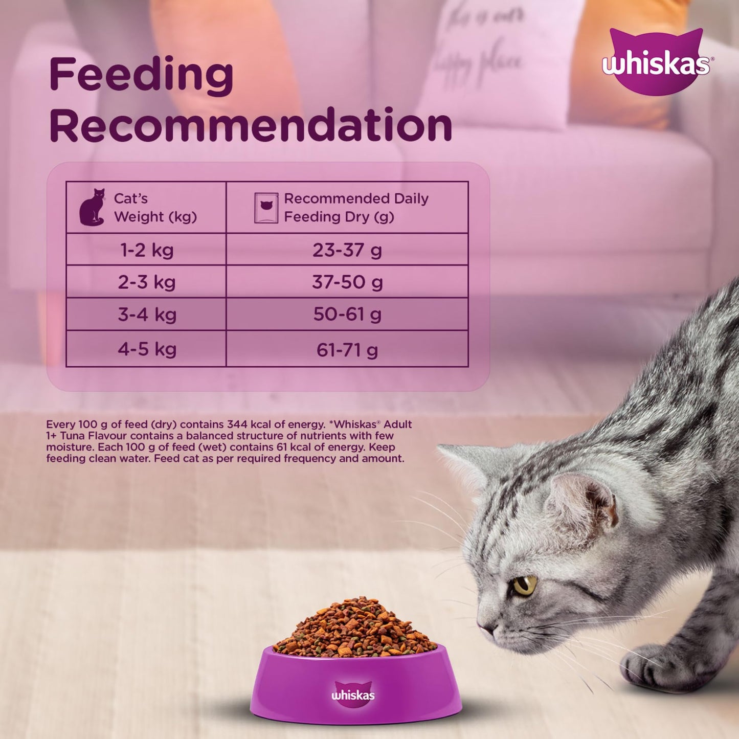 Whiskas Adult (1+ Years) Dry Cat Food, Ocean Fish Flavour, 480 g, Contains 41 Essential Nutrients, Complete & Balanced Nutrition for Adult Cats