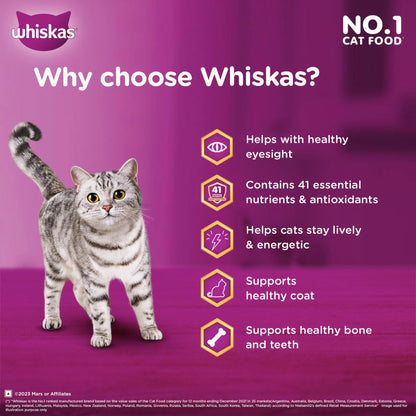 Whiskas Adult (1+ Years) Dry Cat Food, Mackerel Flavour, 480 g, Contains 41 Essential Nutrients, Complete & Balanced Nutrition for Adult Cats