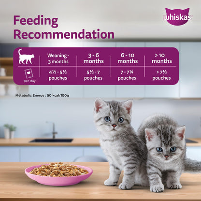 Whiskas Junior Kitten (2-12 Months) Wet Cat Food, Tuna in Jelly, 80 g, Hydrating Food Made With Real Fish, 100% Complete & Balanced Nutrition for Kittens