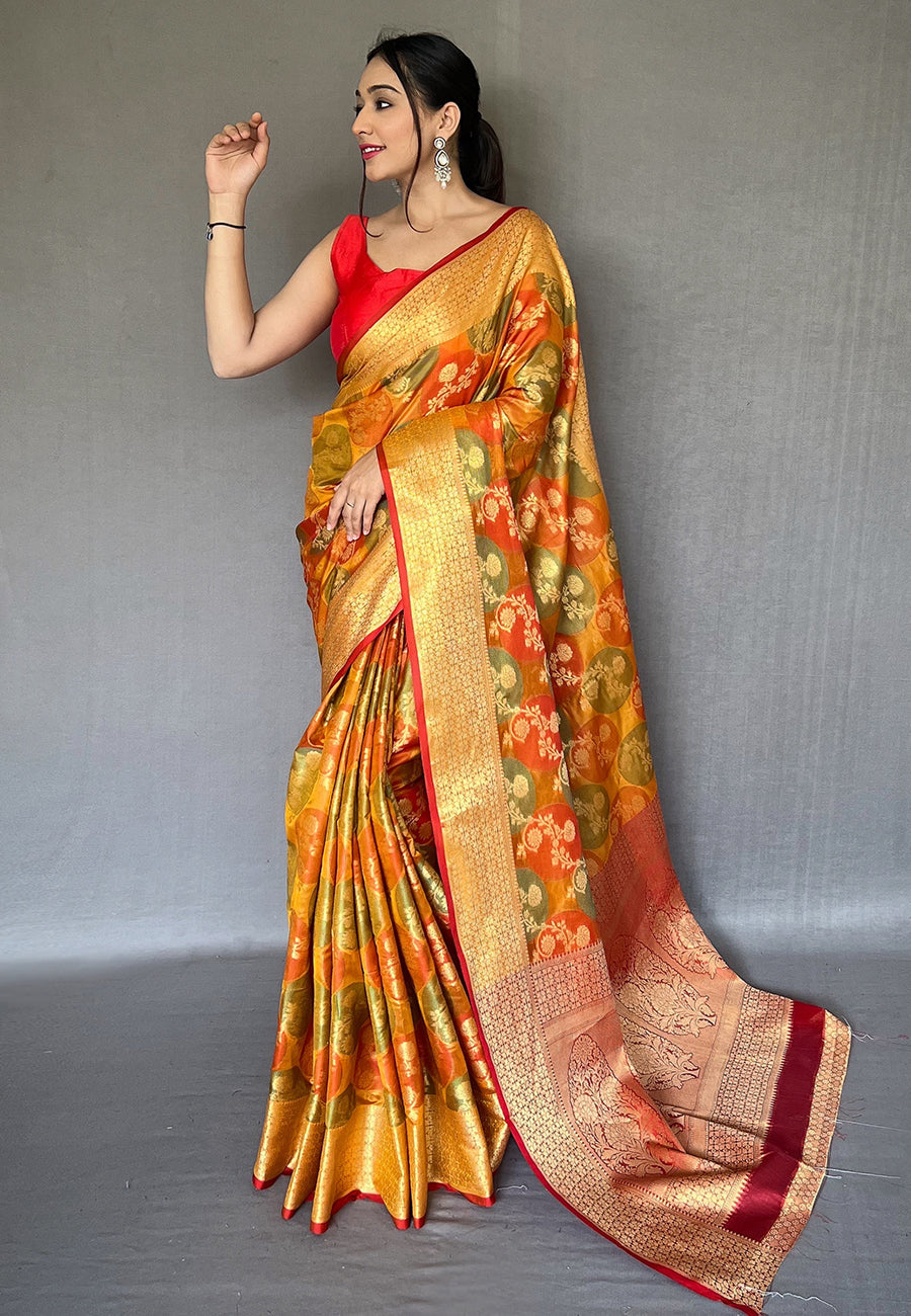 Pumpkin Orange Aashi Organza Multicolor Jaal Contrast Zari Woven Saree Party wear Saree